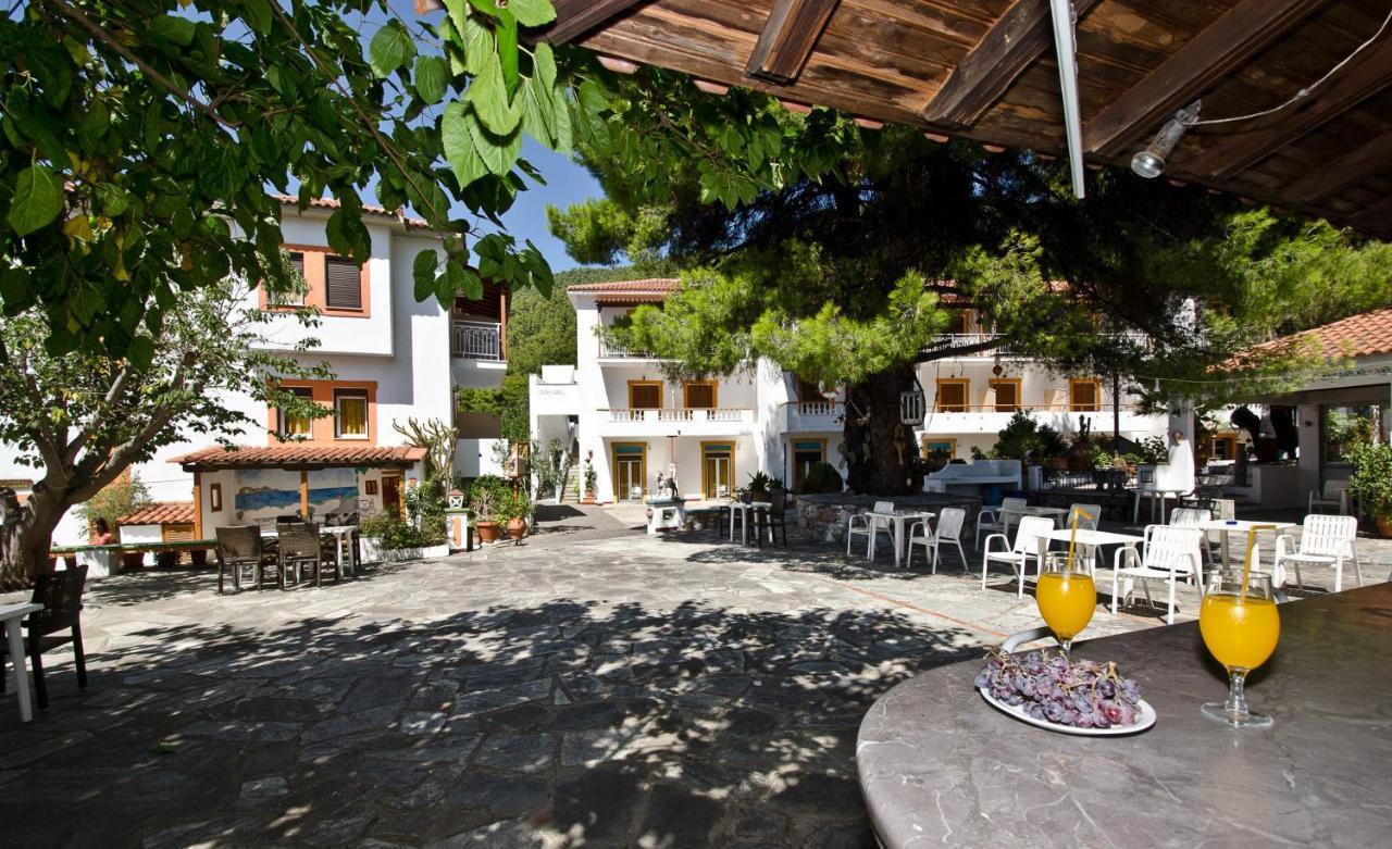 Zaneta Hotel & Apartments Νέο Κλήμα Εξωτερικό φωτογραφία