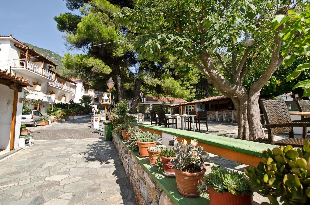 Zaneta Hotel & Apartments Νέο Κλήμα Εξωτερικό φωτογραφία